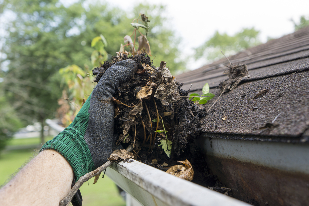 Teacher discounts on gutter cleaning