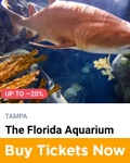 Teacher Discounts on Florida Vacations