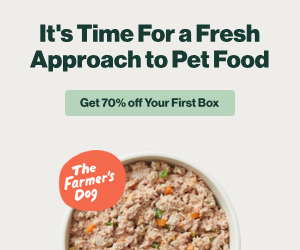 Teacher discounts on The Farmer's Dog